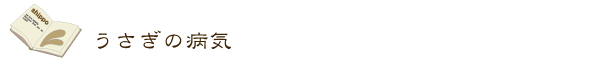 Usaginobyouki